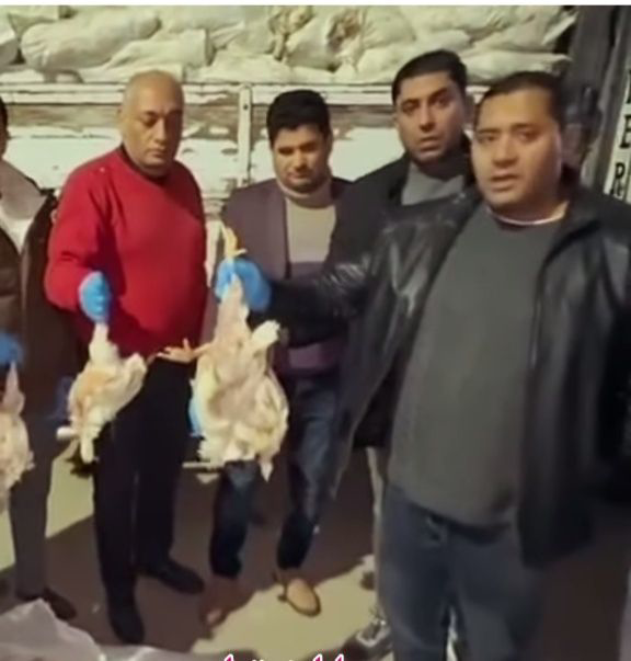  كارثة صحية بالفيوم.. ضبط 10 أطنان دواجن نافقة قبل إعادة تدويرها وبيعها في الأسواق